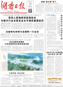 湖南日报